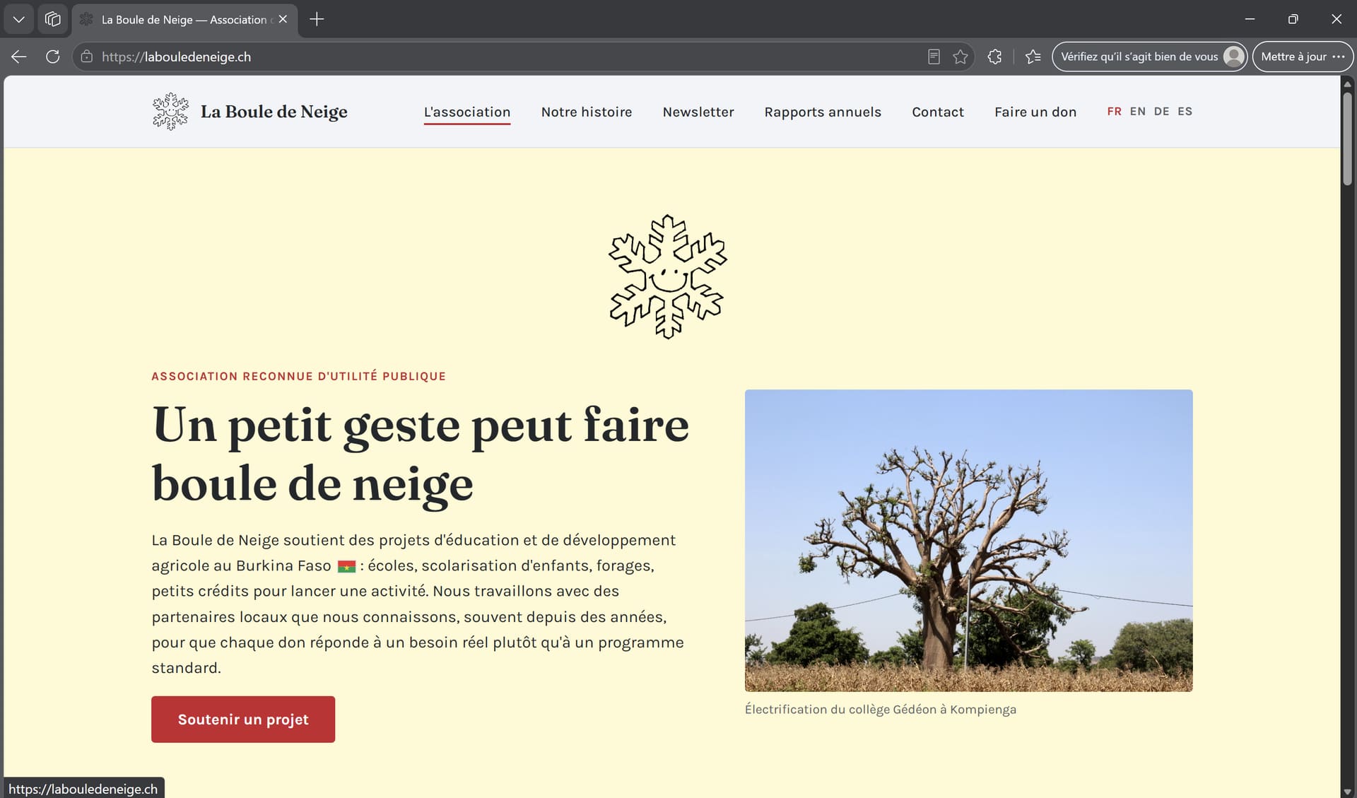 Capture du site La Boule de Neige