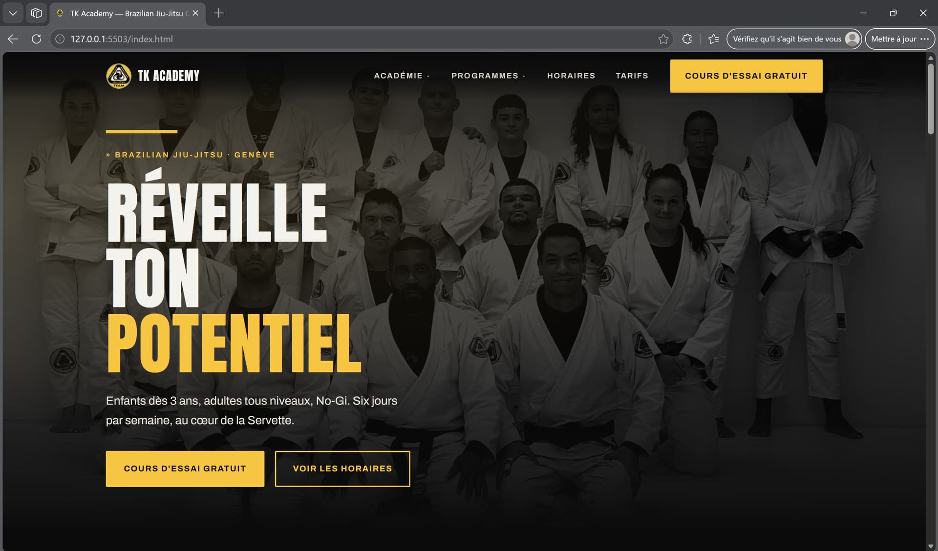 Capture du site TK Academy en cours de développement